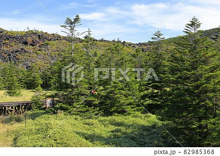 紅葉見頃な北八ヶ岳ロープウェイと坪庭の写真素材