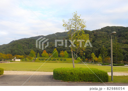 瀬野川公園 瀬野川公園 82986054