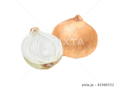 水彩の玉ねぎ 82986552