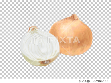 水彩の玉ねぎ 82986552