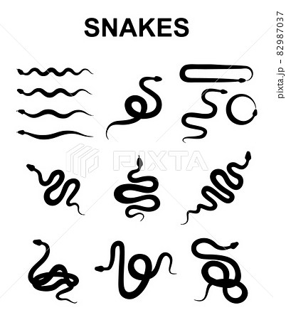 Snake Vector Icon, Viper Symbol, Serpent Sign Snake Vector Icon, Viper Symbol, Serpent Sign 82987037