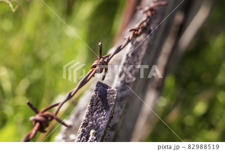 old rusty barbed wire 82988519
