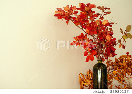 Cropped image of decorative dried plant branches 82989137