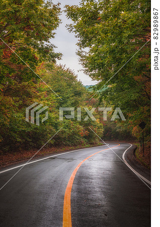 福島県 紅葉の峠道 福島県 紅葉の峠道 82989867