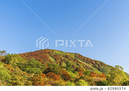 那須・鬼面山の紅葉【栃木県・那須塩原市】 82990374