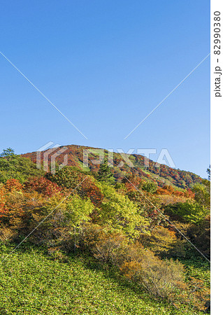 那須・鬼面山の紅葉【栃木県・那須塩原市】 那須・鬼面山の紅葉【栃木県・那須塩原市】 82990380