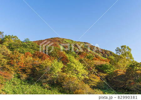 那須・鬼面山の紅葉【栃木県・那須塩原市】 那須・鬼面山の紅葉【栃木県・那須塩原市】 82990381
