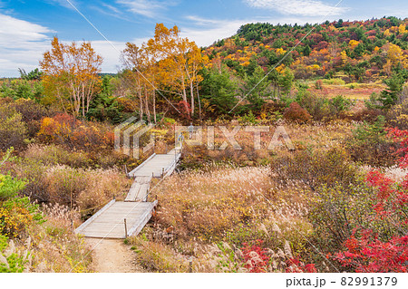 (福島県) 草紅葉が美しい 浄土平湿原 (福島県) 草紅葉が美しい 浄土平湿原 82991379