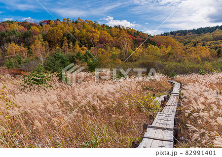 （福島県） 草紅葉が美しい　浄土平湿原 82991401