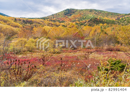 (福島県) 草紅葉が美しい 浄土平湿原 (福島県) 草紅葉が美しい 浄土平湿原 82991404