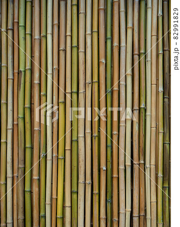 竹を貼った壁 82991829