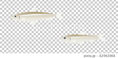 ワカサギ 82992068