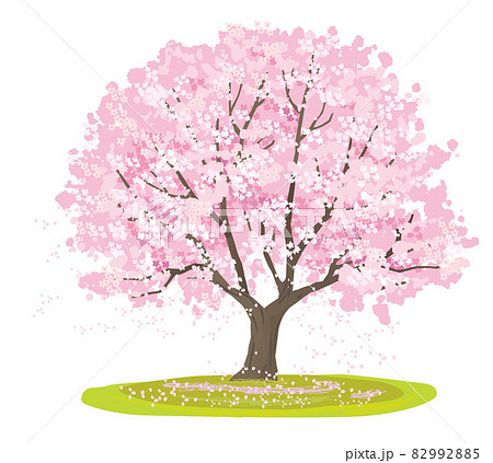 桜の木のベクターイラストのイラスト素材 9925