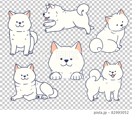 可愛的白色柴犬套裝 82993052