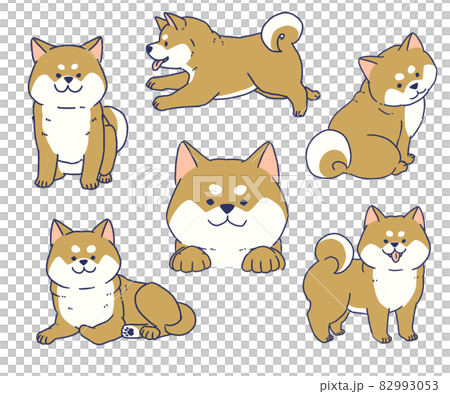 かわいい柴犬セット 82993053