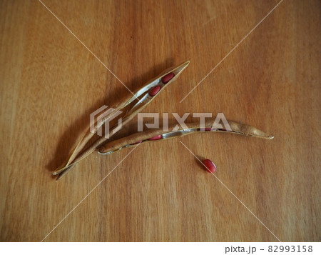 小豆 小豆 82993158