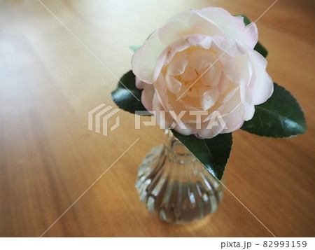 花瓶の花 花瓶の花 82993159