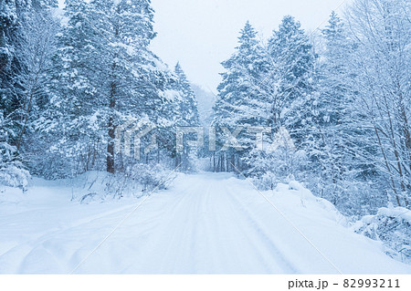 雪道 82993211
