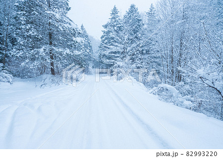 雪道 雪道 82993220