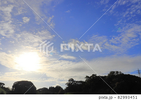 朝の空　太陽　雲　木 82993451