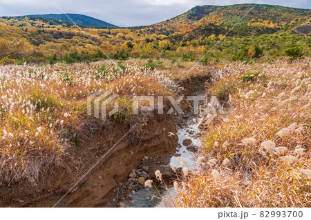 (福島県) 浄土平湿原から流れ出る温泉 (福島県) 浄土平湿原から流れ出る温泉 82993700