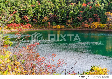 （福島県）浄土平・桶沼の紅葉 82993886