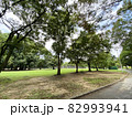 大泉緑地公園 82993941