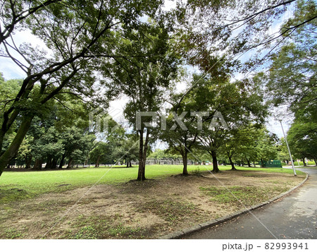 大泉緑地公園 82993941