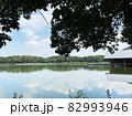 大泉緑地公園 82993946