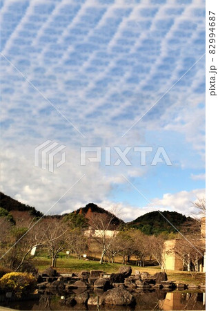 うろこ雲ひろがる空、秋兆す うろこ雲ひろがる空、秋兆す 82994687