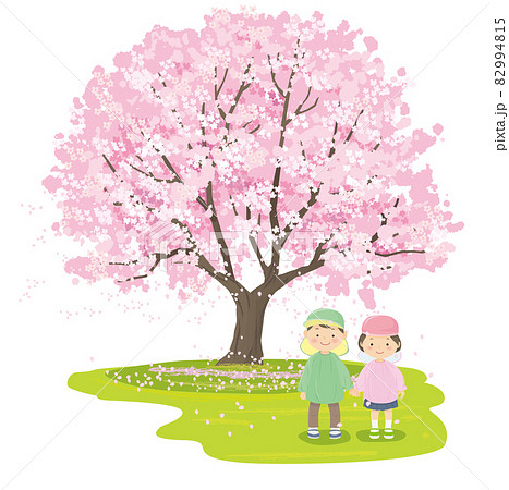 満開の桜の木の前の幼稚園児 82994815