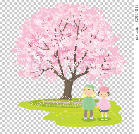 満開の桜の木の前の幼稚園児 82994815