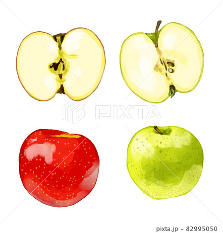 手描き水彩の赤りんごと青りんごのイラストセット 横と断面のイラスト素材