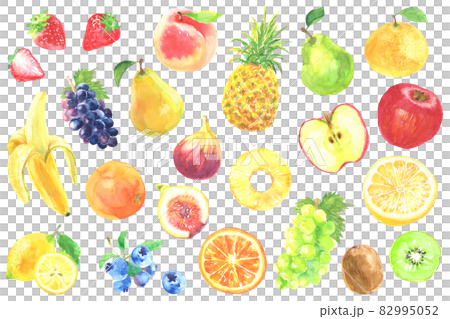 Illustration set of various fruits drawn in watercolor 82995052