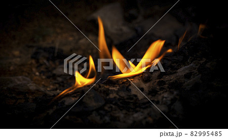 Small burning fire isolated in the dark environment. Small burning fire isolated in the dark environment. 82995485