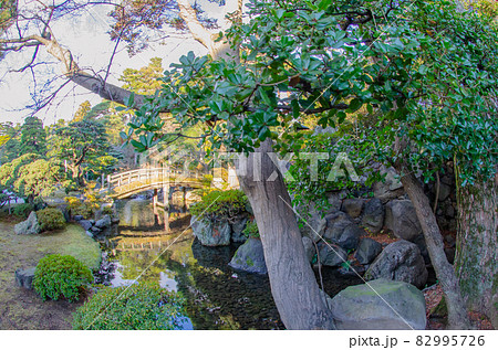 歴史の舞台　京都御所 82995726