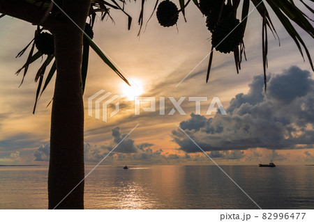 夜明けの海 82996477