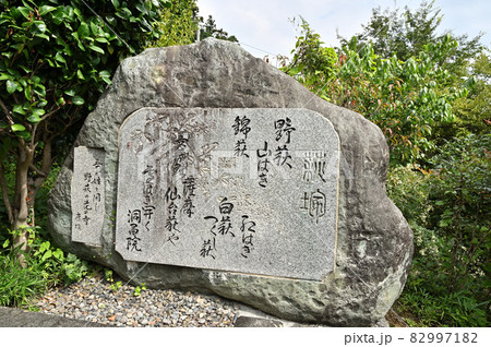 長瀞町散歩：長瀞七草寺　洞昌寺　参道の句碑 82997182
