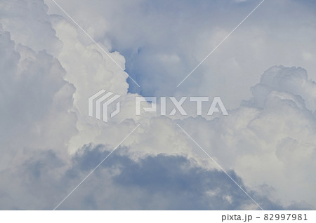 雲 82997981
