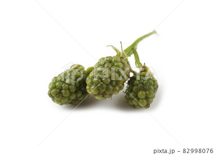 Unripe blackberries cluster 82998076
