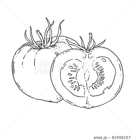 トマトのペン画カットイラストのイラスト素材 9907