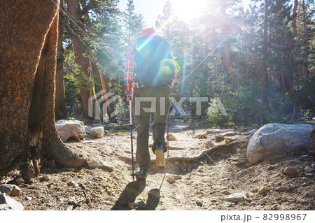 Hike in the forest Hike in the forest 82998967