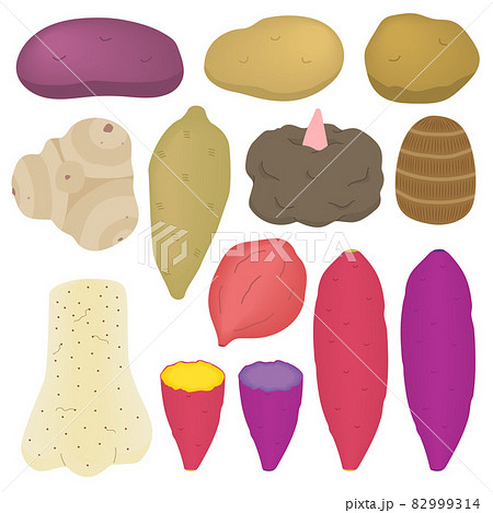 色々な芋のイラストのイラスト素材