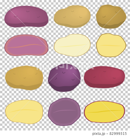 Illustrations of various potatoes Illustrations of various potatoes 82999315