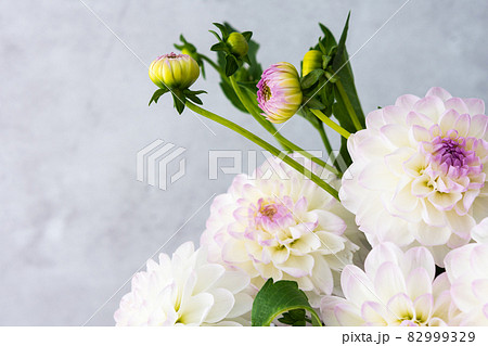 Autumn bouquet of white dahlias 82999329