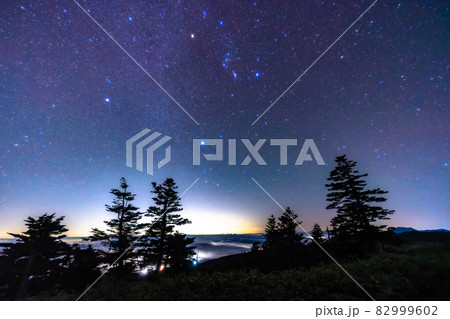 《群馬県》渋峠・満点の星空 82999602