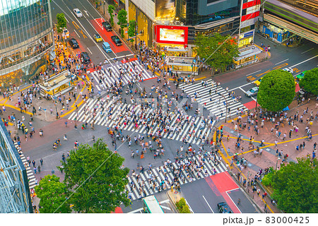 Shibuya Crossing from top view in Tokyo 83000425