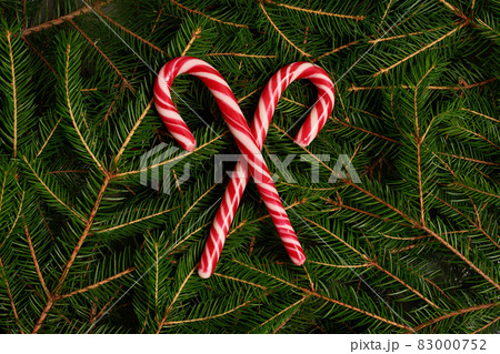 new year christmas red-white christmas candy lollipops on background of fir branches, christmas tree 83000752