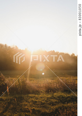 scenic countryside landscape at sunset in autumn 83001050