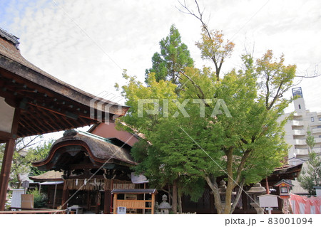 京都府京都市中京区下御霊町・下御霊神社 京都府京都市中京区下御霊町・下御霊神社 83001094